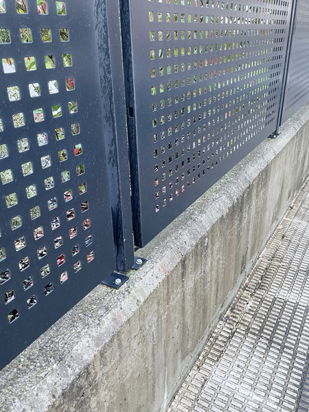 PR2519BI11403 CP TYE TYE SZ4